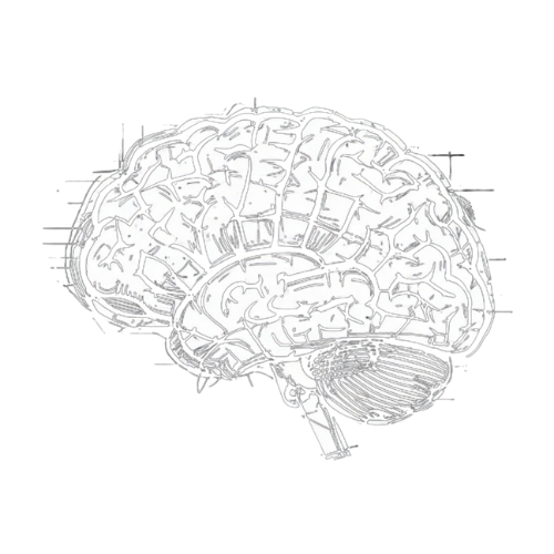 Sketch of a human brain with transparent background